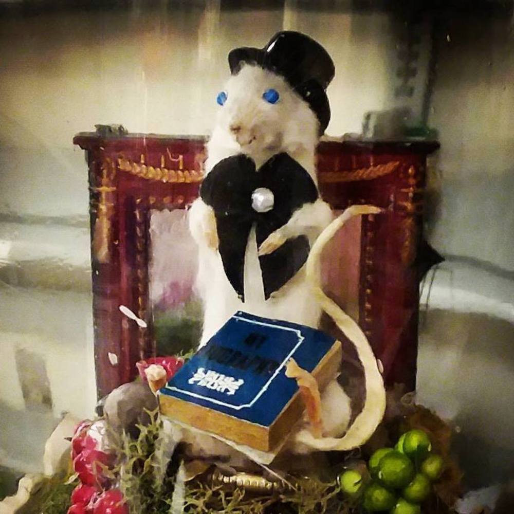 Meet your Posher, Teresa